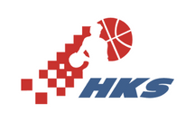 HKS_logo_mini (1)