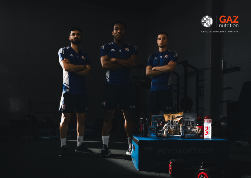 banner dinamo banner dinamo